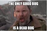 Bug Infestation Cleaning